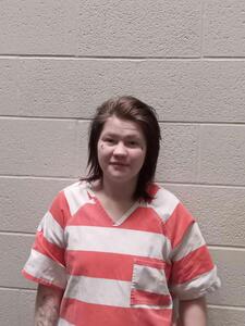 Andrew County MO Arrests Public Jail Records